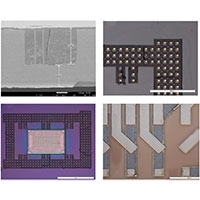 Jinesh Jhonsa Google Scholar