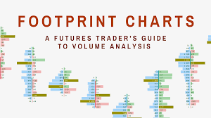 best Footprint Chart Software